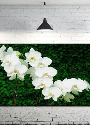 Картина на полотні на стіну для інтер`єру/спальні/прихожої dk орхідеї (dkp4560-c502) 50х100 см1 фото