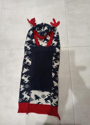 Попонка для собачки