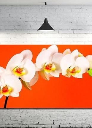 Картина на холсте на стену для интерьера/спальни/офиса dk ветвь орхидеи (dkp4560-c715) 50х100 см