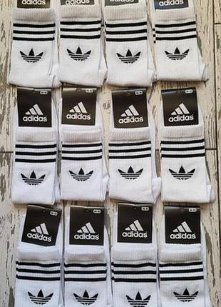 Носки adidas