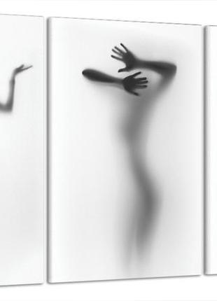 Модульная картина девушка силуэт art-33_b3 с лаковым покрытием