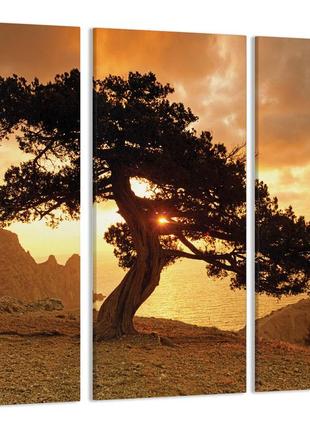 Модульная картина дерево на закате art-82_xxl с лаковым покрытием