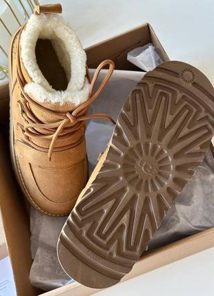 Уггі ugg на шнурках6 фото