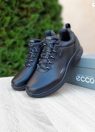 Кроссовки мужские демисезон ecco biom natural motion