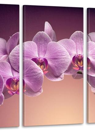 Модульная картина цветы орхидея аrt-111_3а с лаковым покрытием
