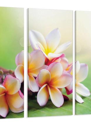 Модульная картина цветы  art-71_xxl с лаковым покрытием