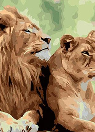 Картина за номерами "сім'я левів", у термопакеті 40х40см