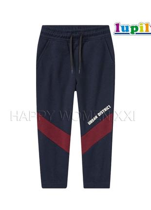 4-6 лет утепленные спортивные штаны для мальчика lupilu джогеры с начесом теплые штаники на флисе1 фото