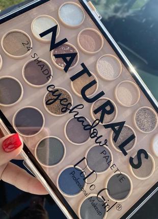 Палетка теней naturals 24 оттенка,d3174