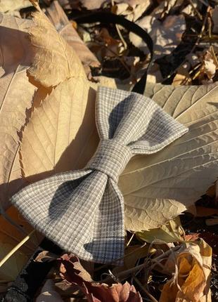 Бабочка галстук4 фото