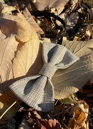 Бабочка галстук6 фото