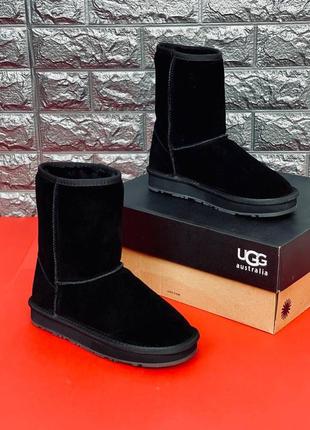Черевики угг високі ugg australia чорні високі класичні уггі жіночі