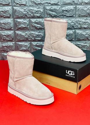 Угг женские ugg australia нежно розовые угги высокие повседневные угги