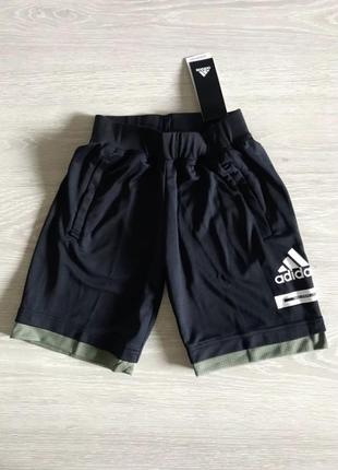 Adidas нові шорти