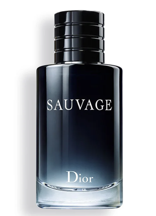 Мужские духи dior savage 2015 edt 100ml2 фото