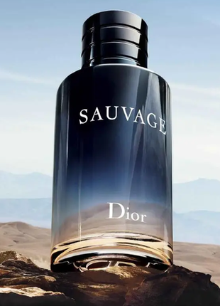 Мужские духи dior savage 2015 edt 100ml1 фото