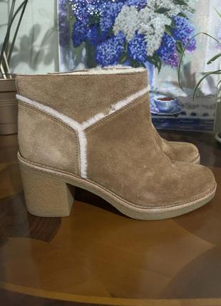 Ugg ботинки 5