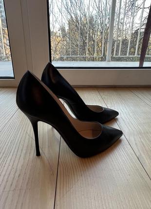 Туфлі casadei