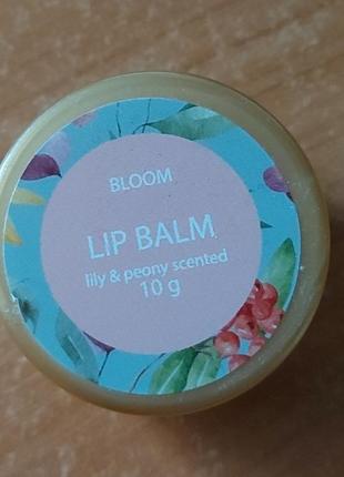 Бальзам для губ. новый.