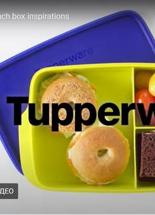 Ланчбокс українська tupperware тапервер — здоровий перекус із роздільником3 фото