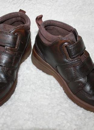 Шкіряні черевички фірми clarks розмір 26 за устілкою 17 см.4 фото