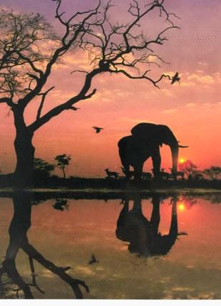 Картина по номерам африка слон 40*50