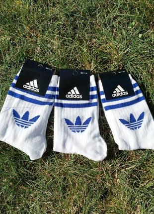 Високі шкарпетки adidas (адідас)