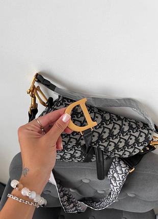 C.dior saddle 2