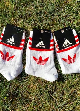 Высокие белые носки adidas (адидас)