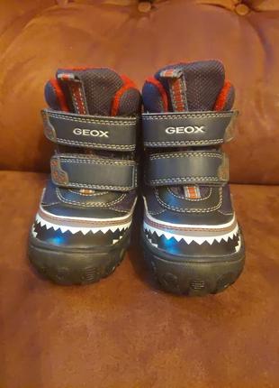 Черевички geox ( sharks)