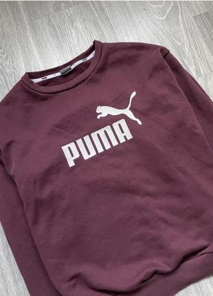 Свитшот puma оригинал