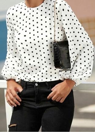 Стильна блуза в горошок shein2 фото