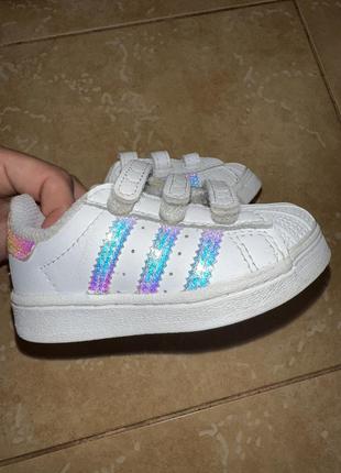 Кеди adidas