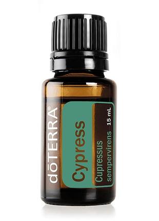 Cypress oil | эфирное масло кипариса, 15 мл