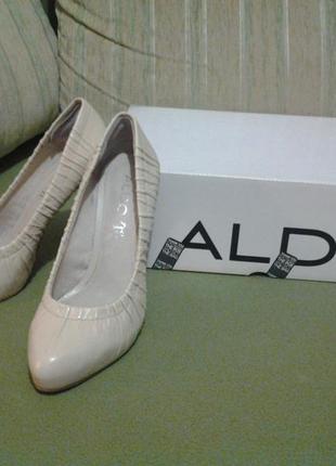 Туфли aldo5 фото