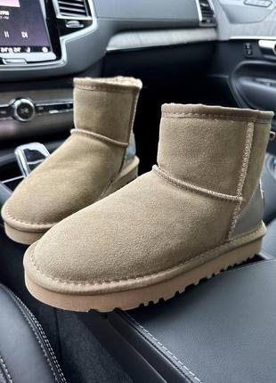 Угги ugg classic mini grey suede