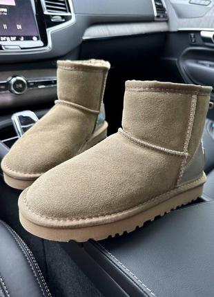 Уггі ugg classic mini mokko suede