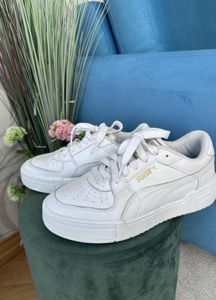 Кеди puma