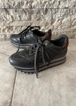 Кросівки шкіряні