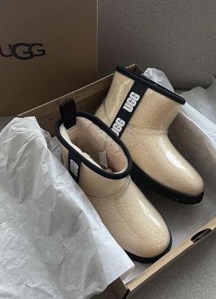 Ugg до -20 градусов (clear mini - в наличии классический, мокка и черный цвет)