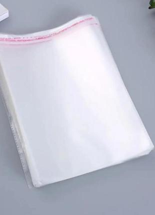 Пакеты прозрачные с липкой лентой 25×35 см (100 шт)