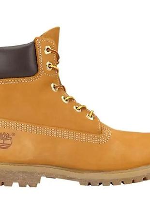 Черевики жіночі timberland 6-inch premium waterproof оригінал