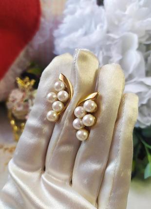 Vintage кліпси