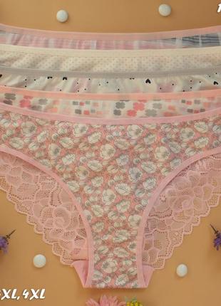 Хлопковые трусики кружевные nicoletta турочница, 5 шт в упаковке, кружевные трусики женские