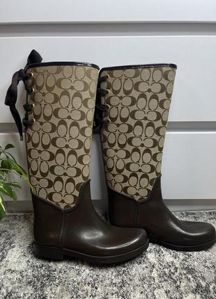 Чоботи coach