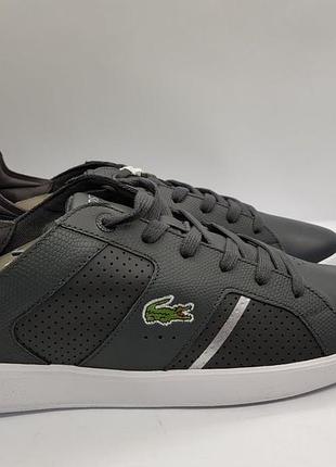Мужские серые кожаные кроссовки сникерсы lacoste