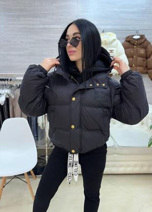 Celine 4