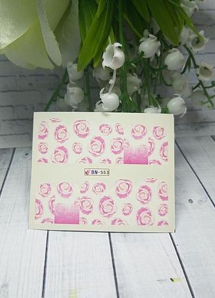 Слайдер розы 5532 фото