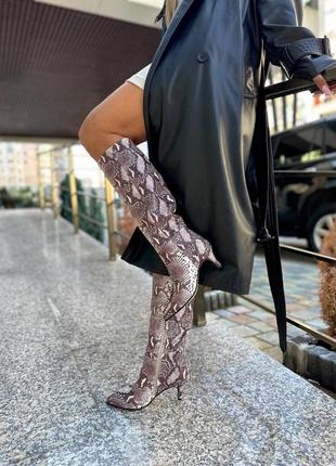 Сапоги с заостренным носком кожаные рептилия питон бежевый на подбрах булавка 6см демисезон зима8 фото