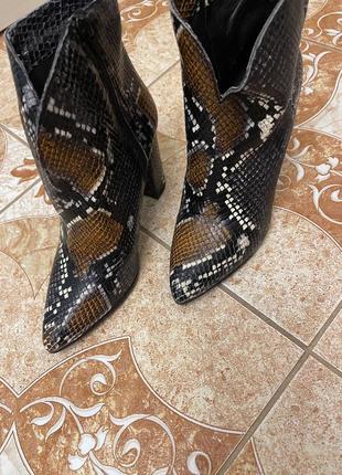 Зміїні черевики на каблуку wall street exclusive collection